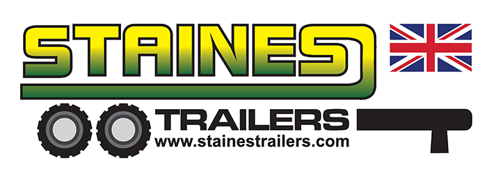 Staines Logo With Flag
